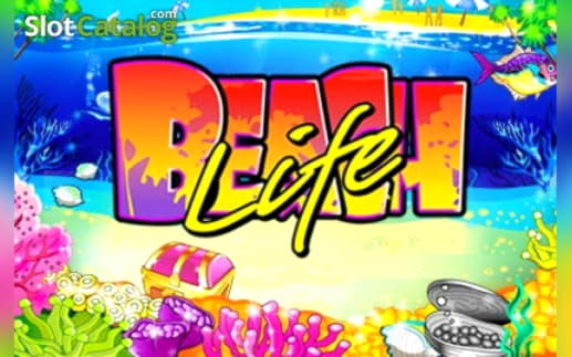 EUR 255 free chip casino at Vera and Jhon Casino