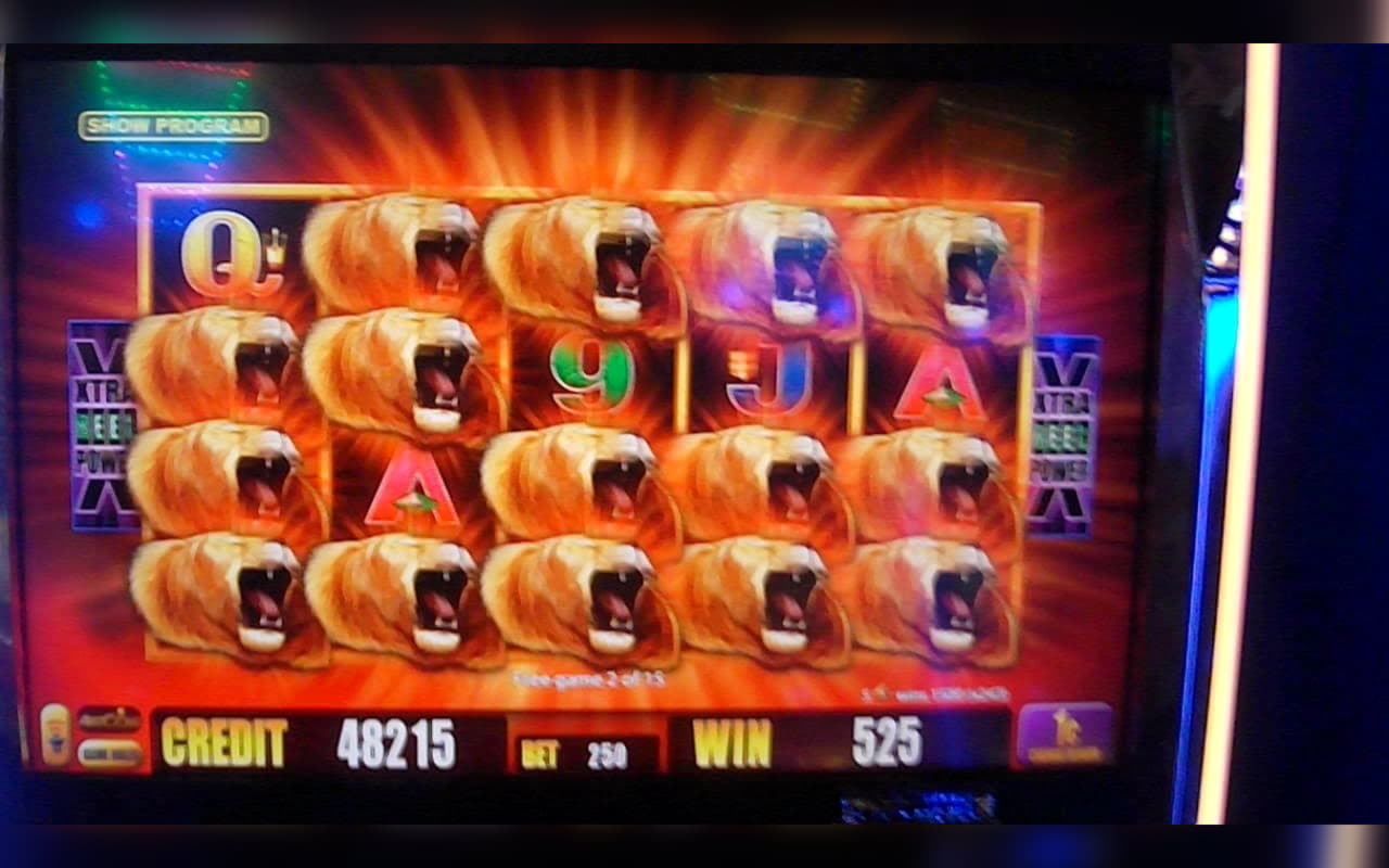 EUR 885 Daily freeroll slot tournament at Hippozino Casino
