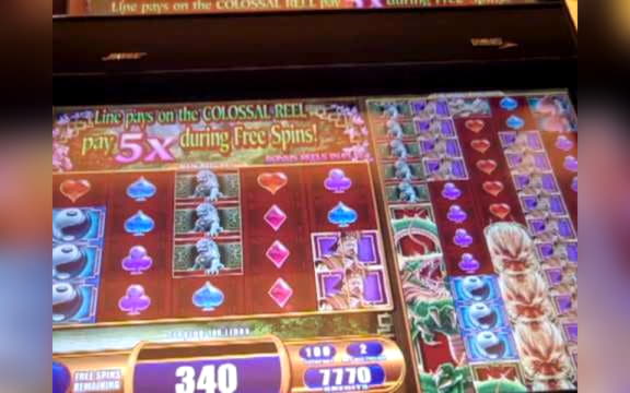95 Free Spins no deposit casino at Vera and Jhon Casino