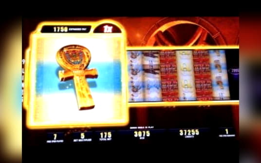 77 Free spins no deposit at Guts Casino