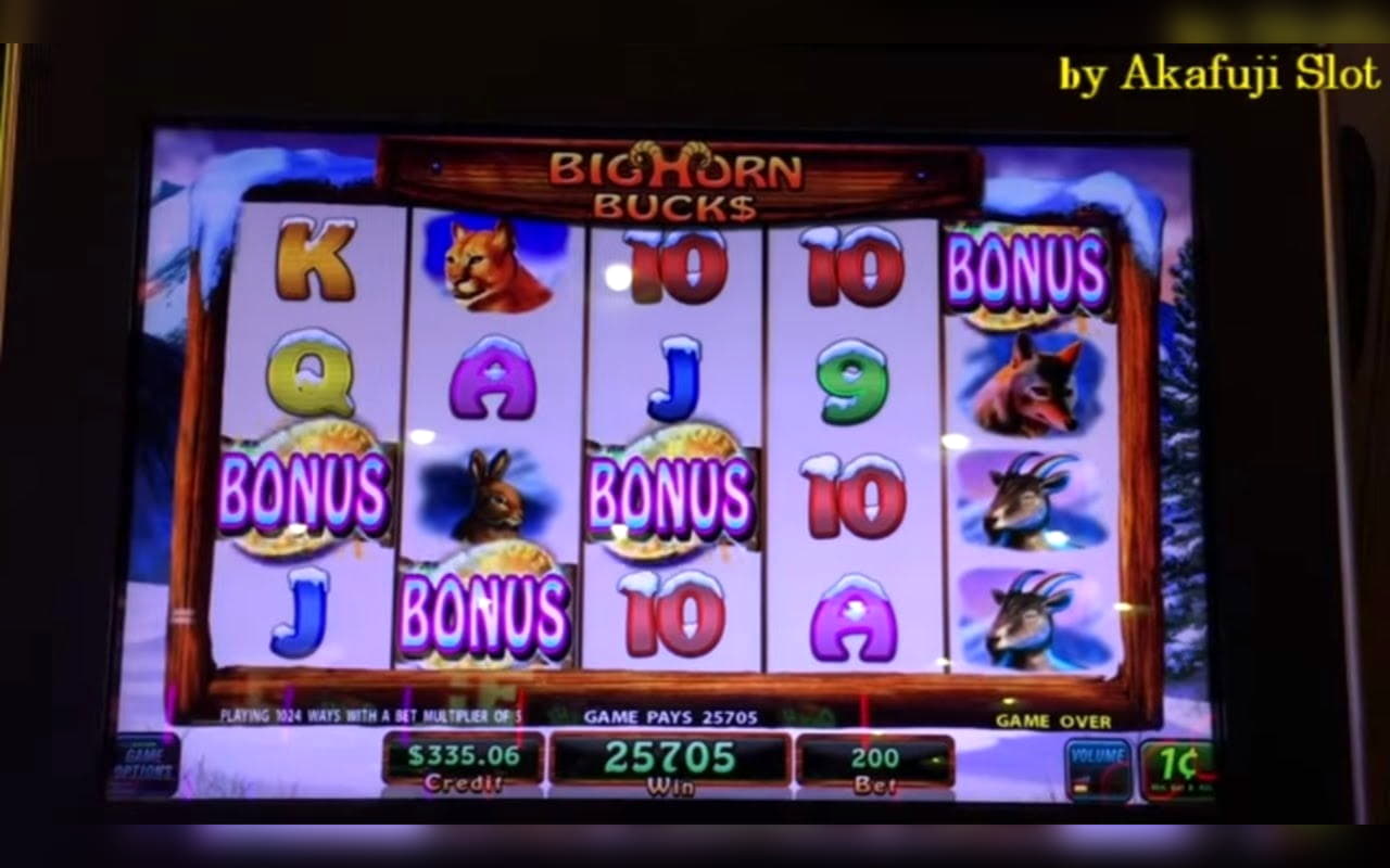 $115 Online Casino Tournament at Leo Dubai Casino