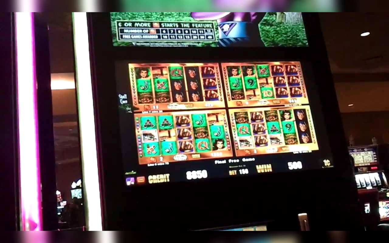 $230 Daily freeroll slot tournament at Hippozino Casino