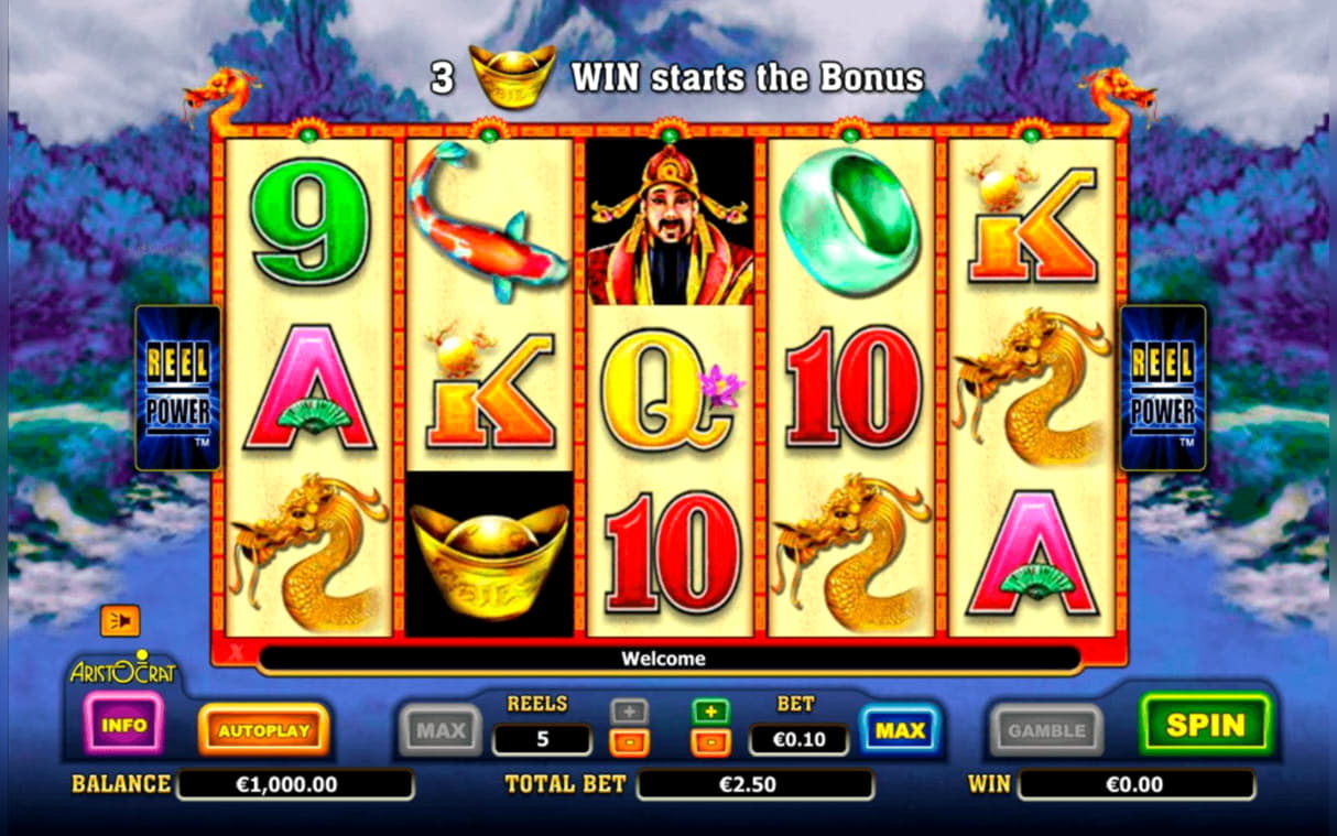 505% No Rules Bonus! at Rizk Casino