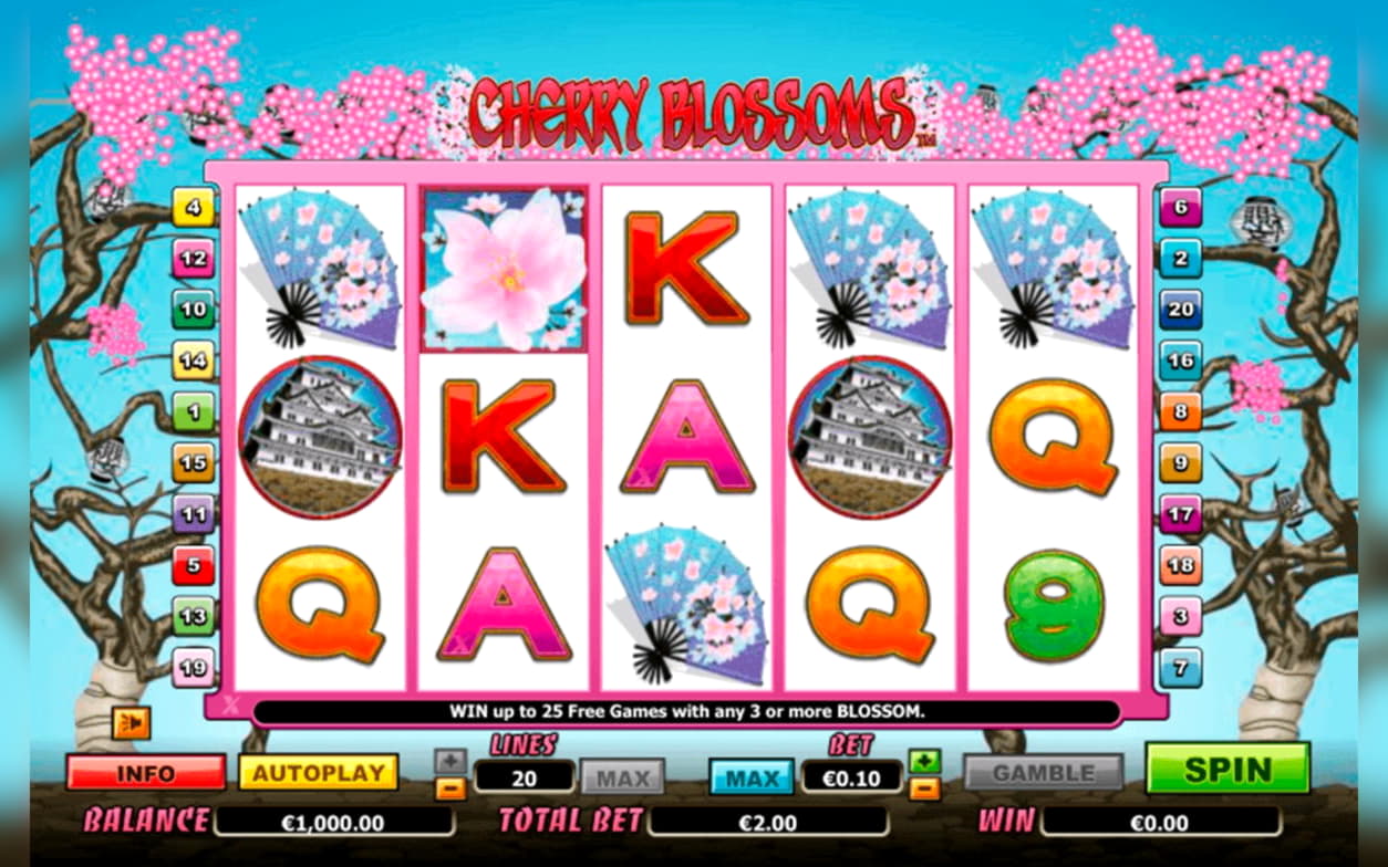 195 free spins casino at Guts Casino