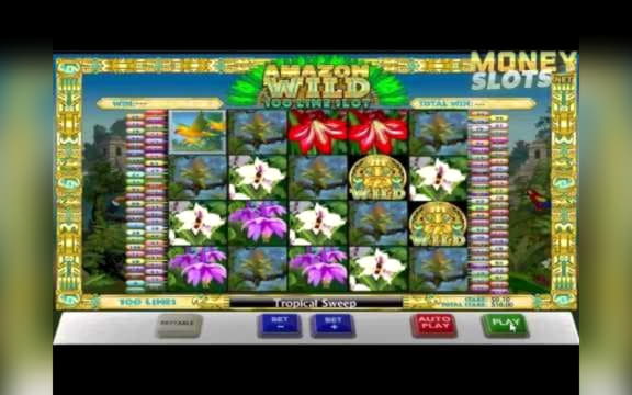 $1515 No Deposit Casino Bonus at 7 Reels Casino