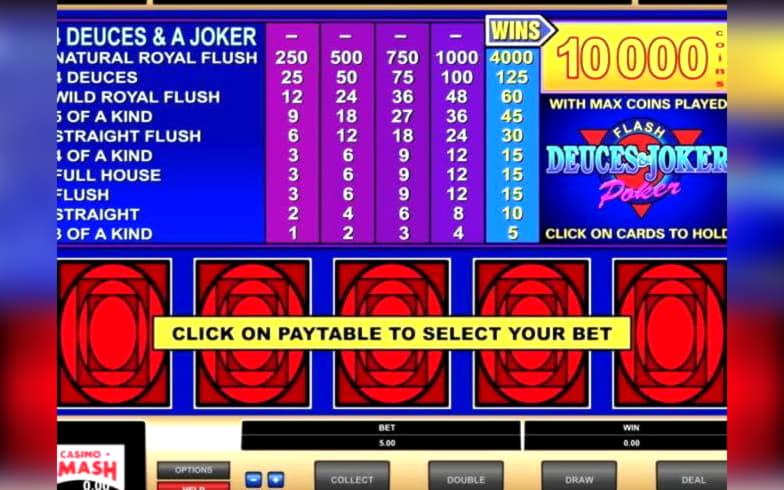 345% casino match bonus at Casino Cruise