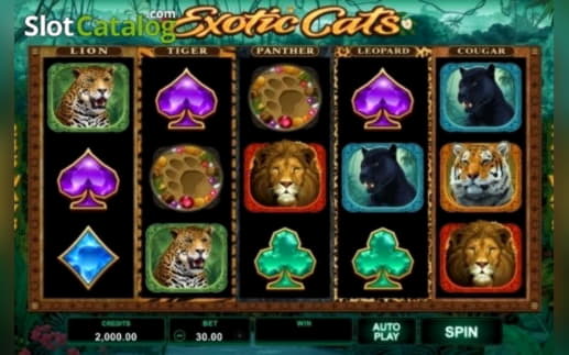 EURO 370 FREE Chip at Leo Dubai Casino