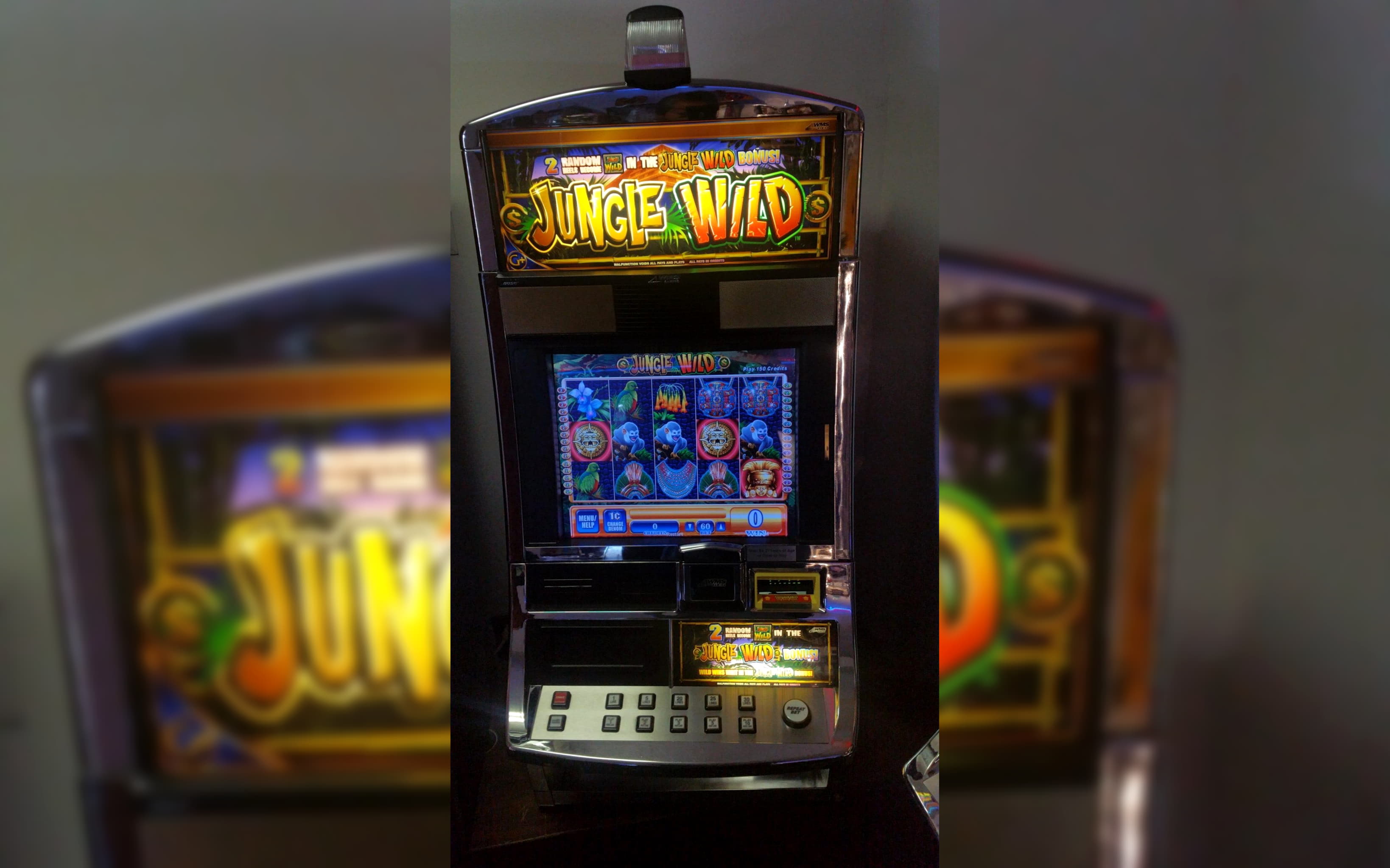 $1770 No deposit casino bonus at Casino Cruise