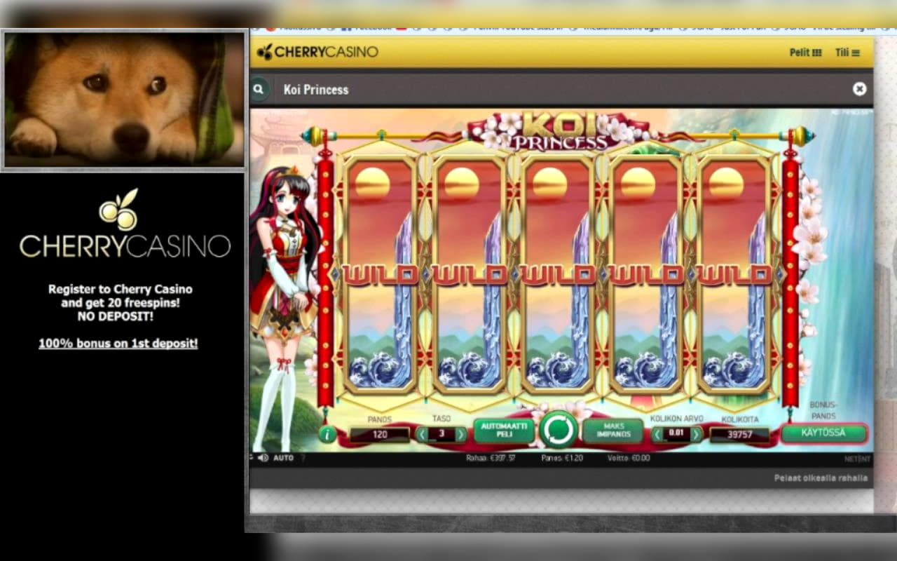 EUR 920 Online Casino Tournament at Licensed Casino 
