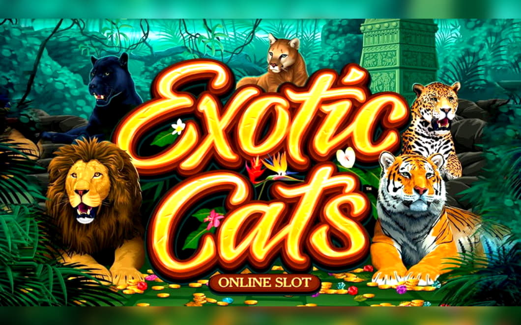 €615 No Deposit at Betnspin Casino