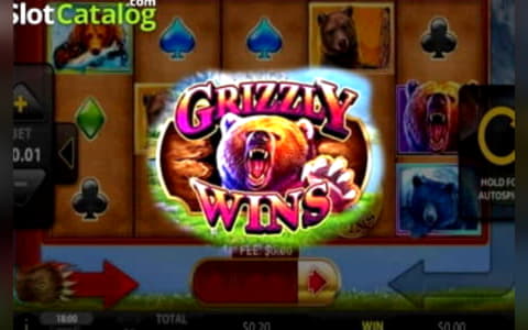 450% Casino match bonus at Leo Dubai Casino