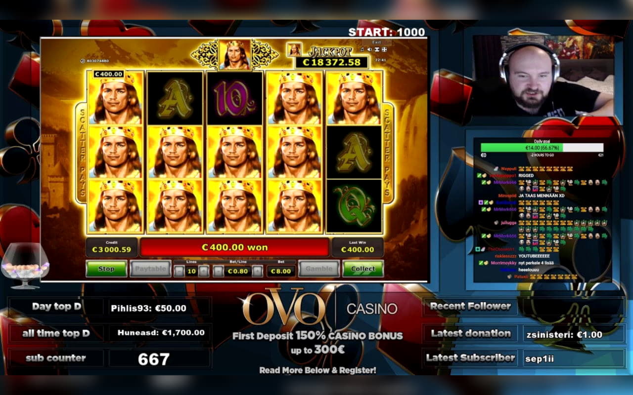 €65 Daily freeroll slot tournament at Hippozino Casino