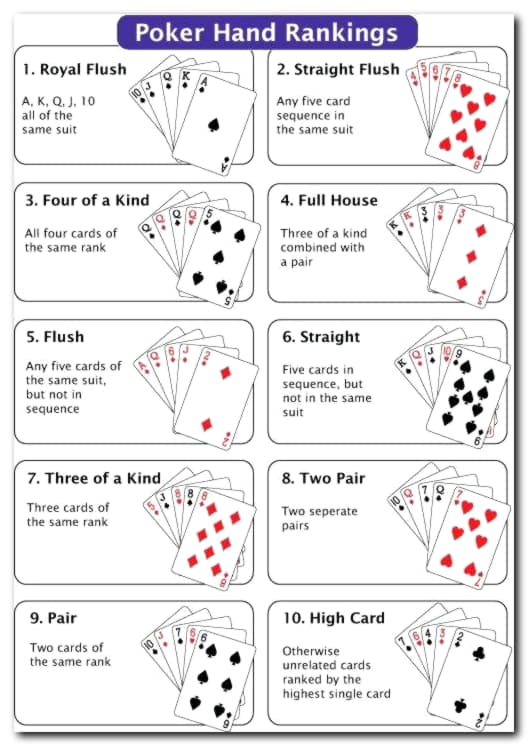 800% Match at a casino at Hippozino Casino