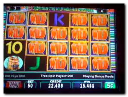 €4005 no deposit bonus at Leo Dubai Casino