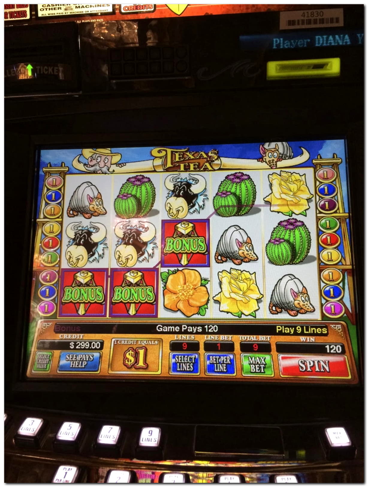 160 Loyal Free Spins! at Casino com