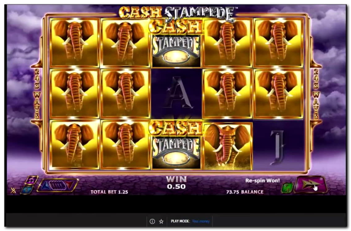 155 Free Spins right now at BGO Casino