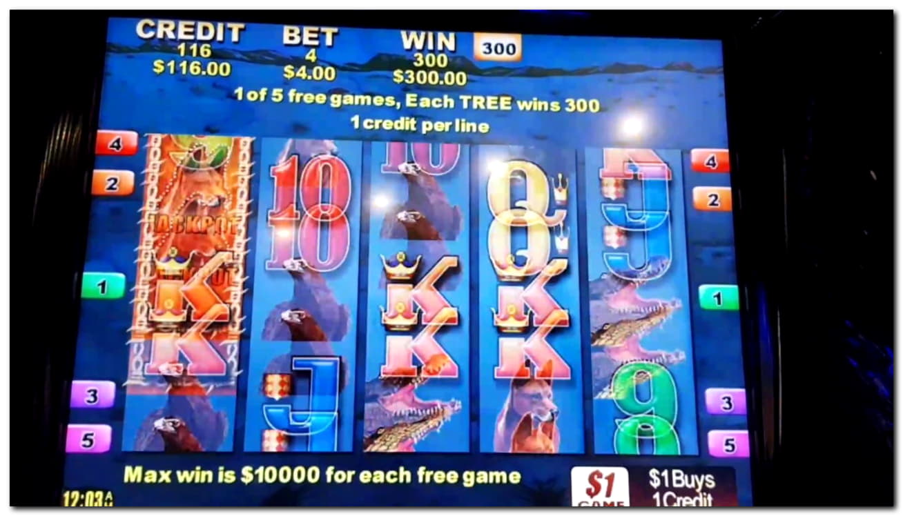 995% Match Bonus Casino at Rizk Casino