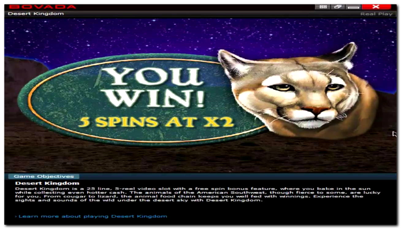 230 FREE SPINS at Rizk Casino