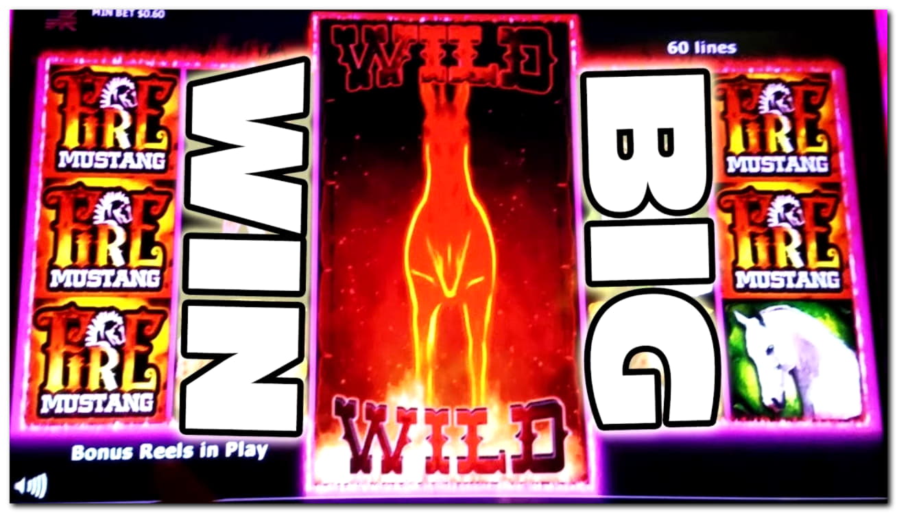 275% First deposit bonus at Vera and Jhon Casino