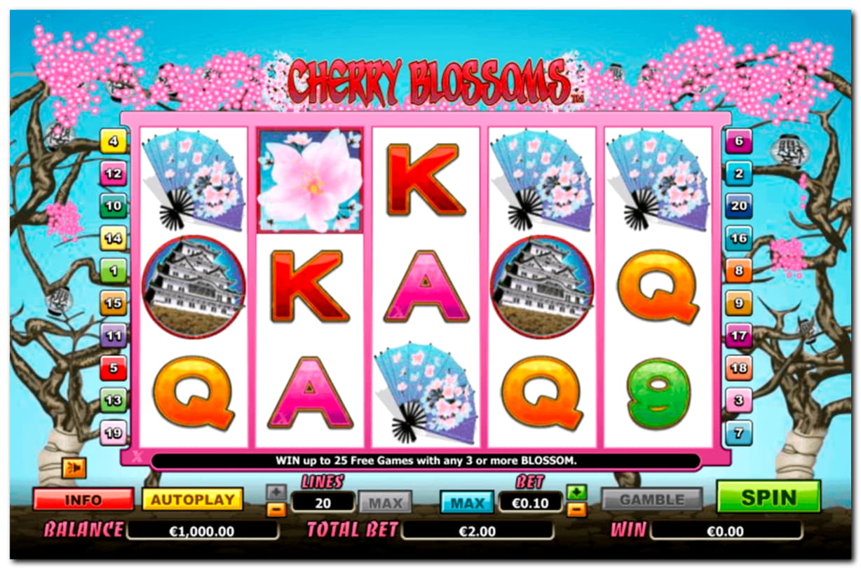 EURO 550 Daily freeroll slot tournament at Rizk Casino
