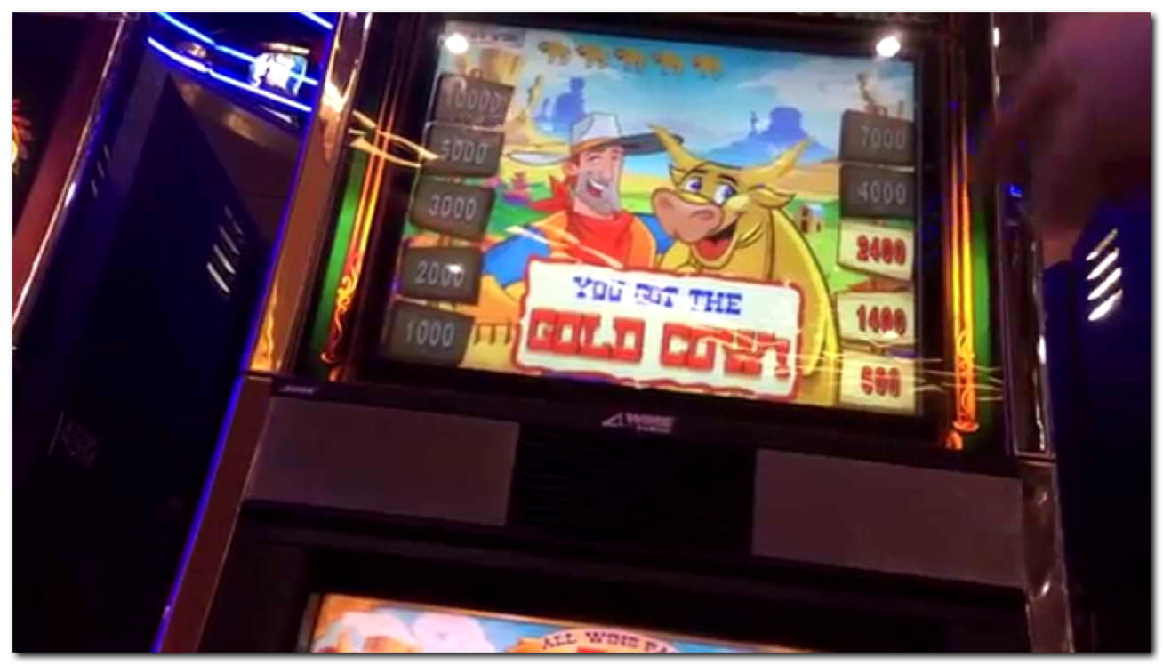 $555 Free Chip at Leo Dubai Casino
