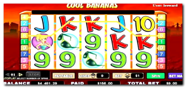 Eur 510 No deposit at 7 Reels Casino