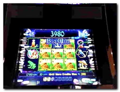 €135 Free Money at Casino Cruise