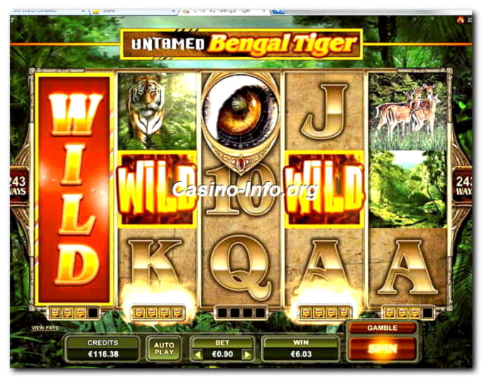 165 free spins no deposit at Guts Casino
