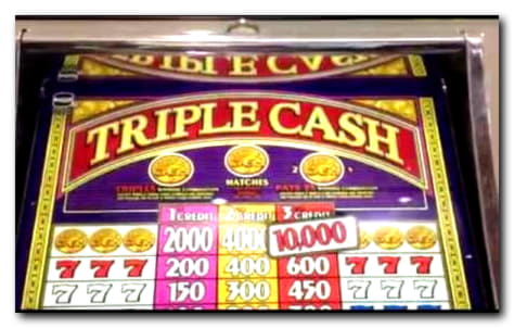 685% No Rules Bonus! at Alf Casino