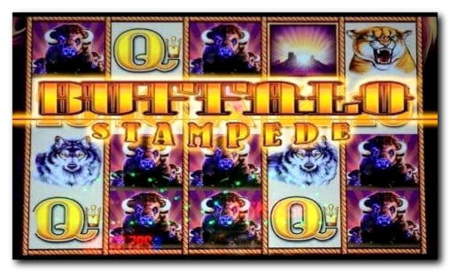 €66 Free Casino Tournament at Jackpot City Casino