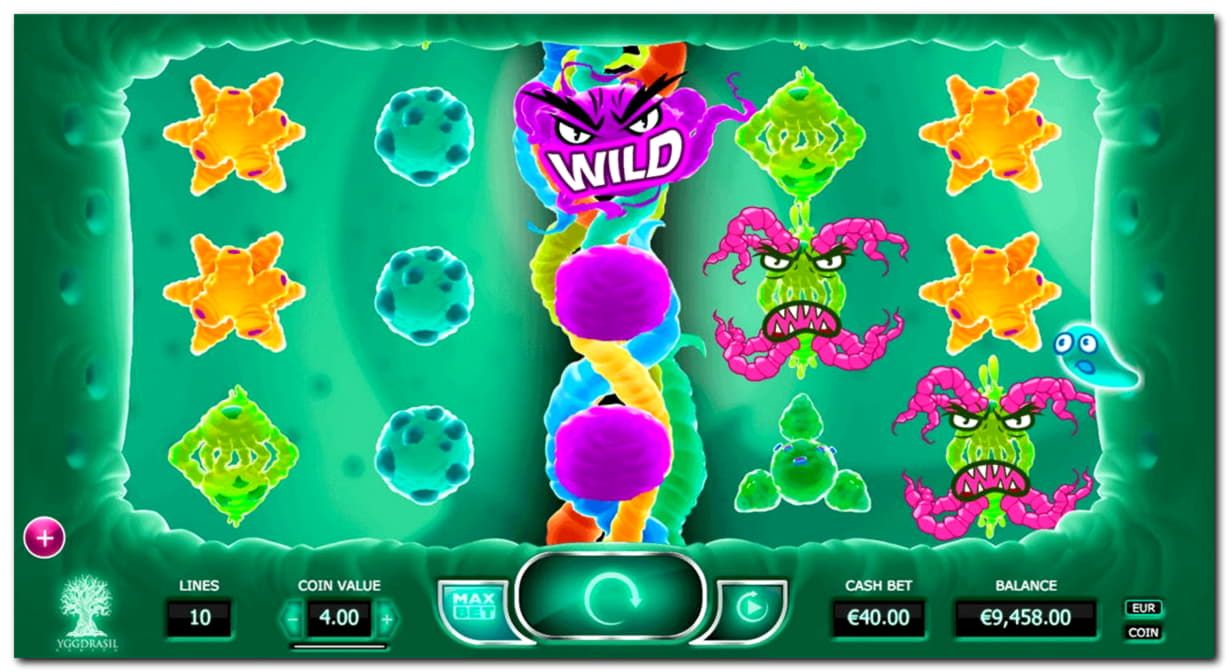 215% Signup Casino Bonus at Rizk Casino