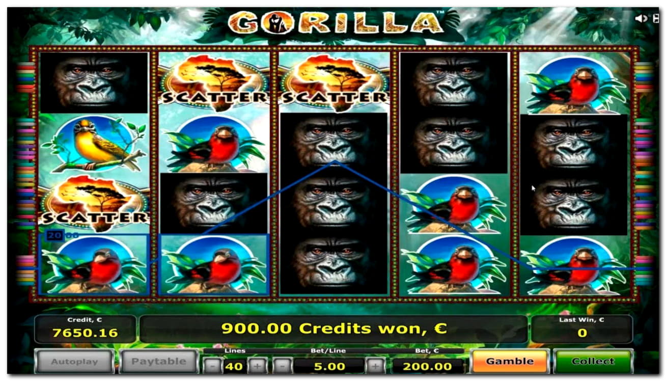 385% Match Bonus Casino at Casino com