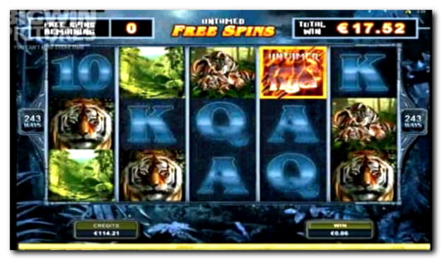 EUR 500 Daily freeroll slot tournament at Rizk Casino