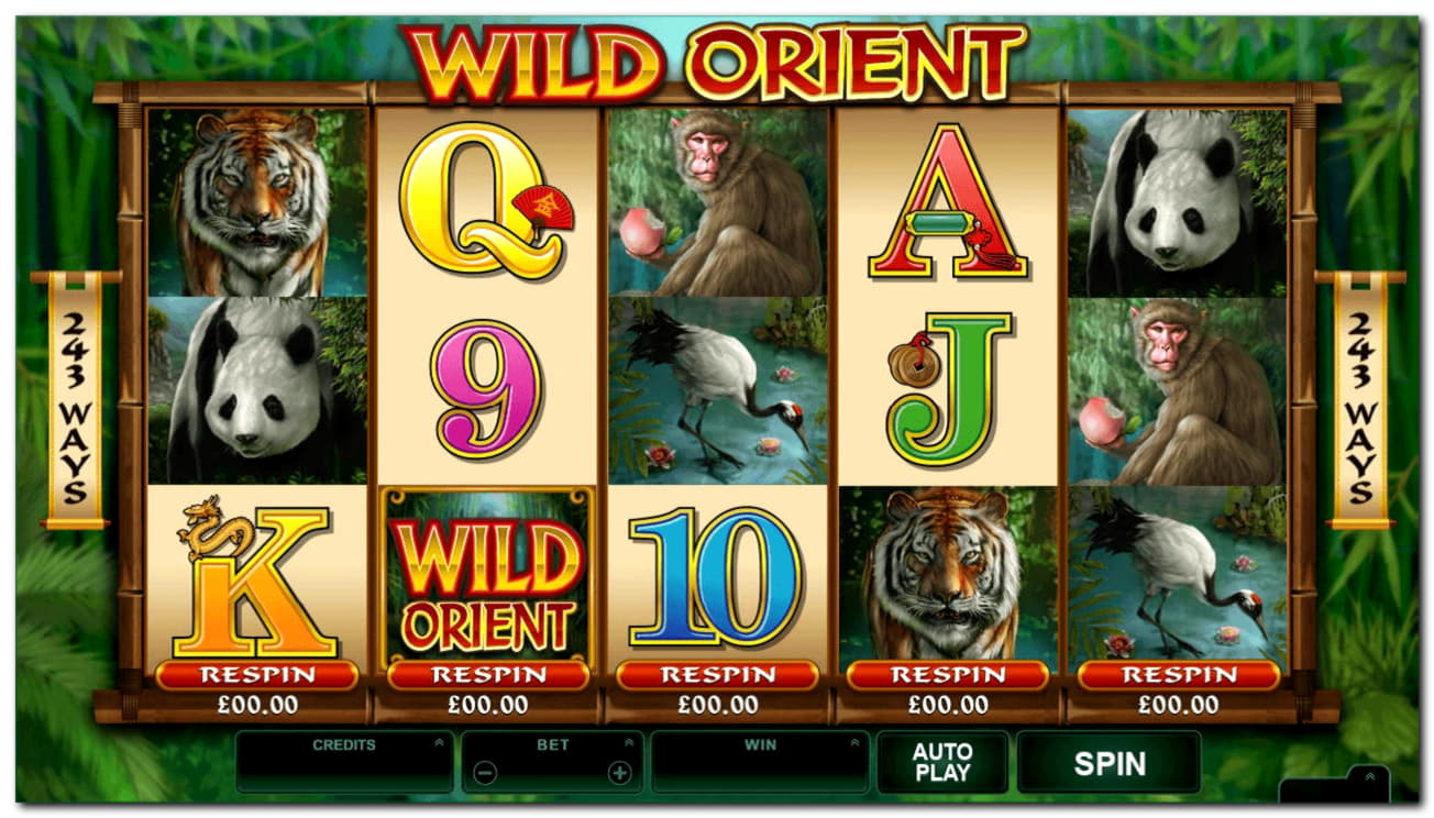 565% Best Signup Bonus Casino at Rizk Casino