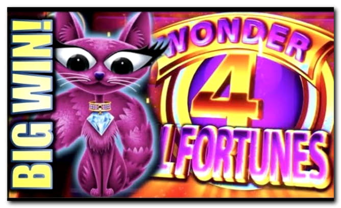 ﻿$905 Daily freeroll slot tournament at Hippozino Casino