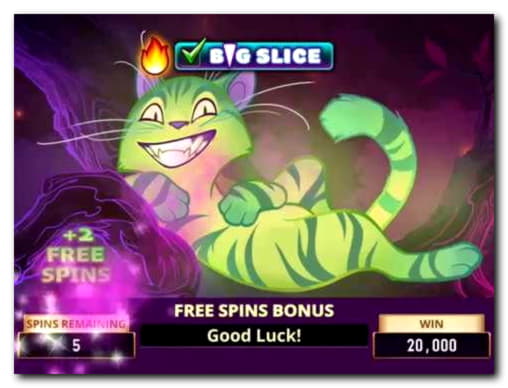 285% Match bonus at Alf Casino