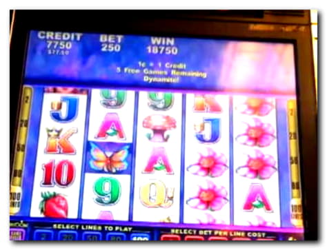 66 Trial Spins at Alf Casino