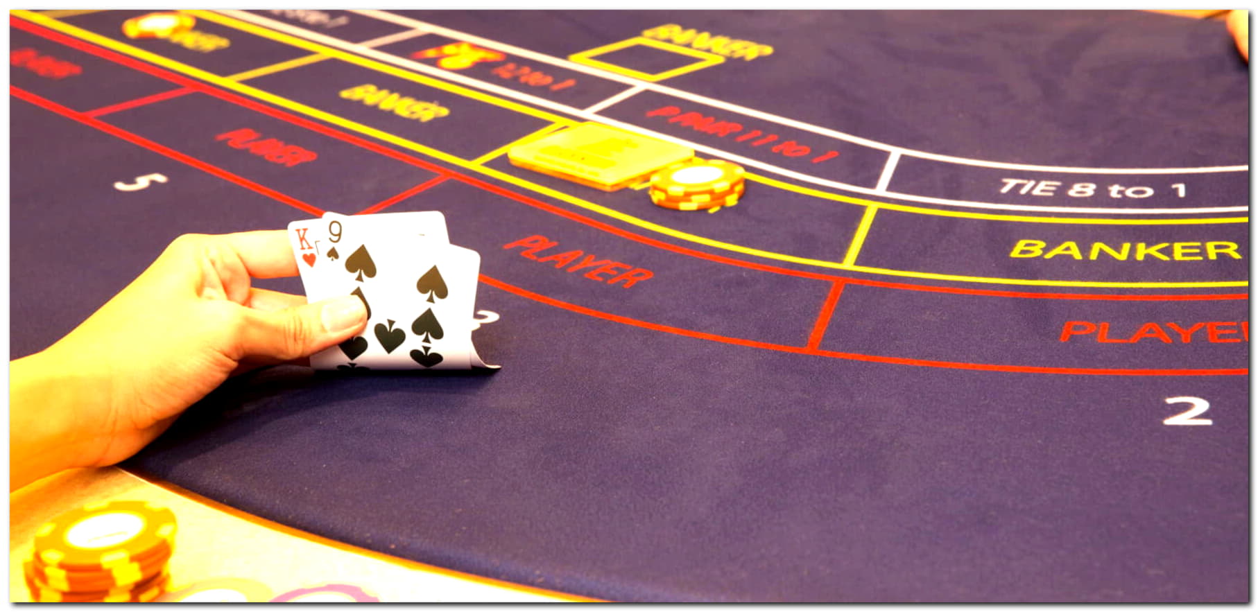 €3450 No Deposit Bonus at Hippozino Casino