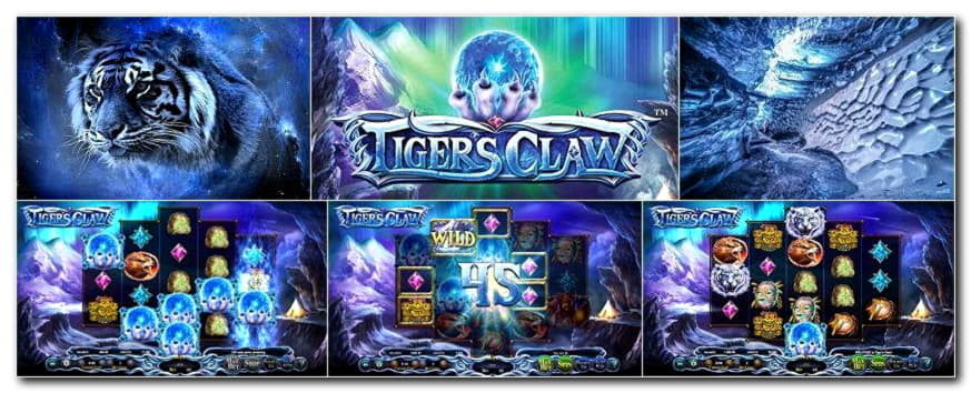 ﻿$800 Tournament at Rizk Casino
