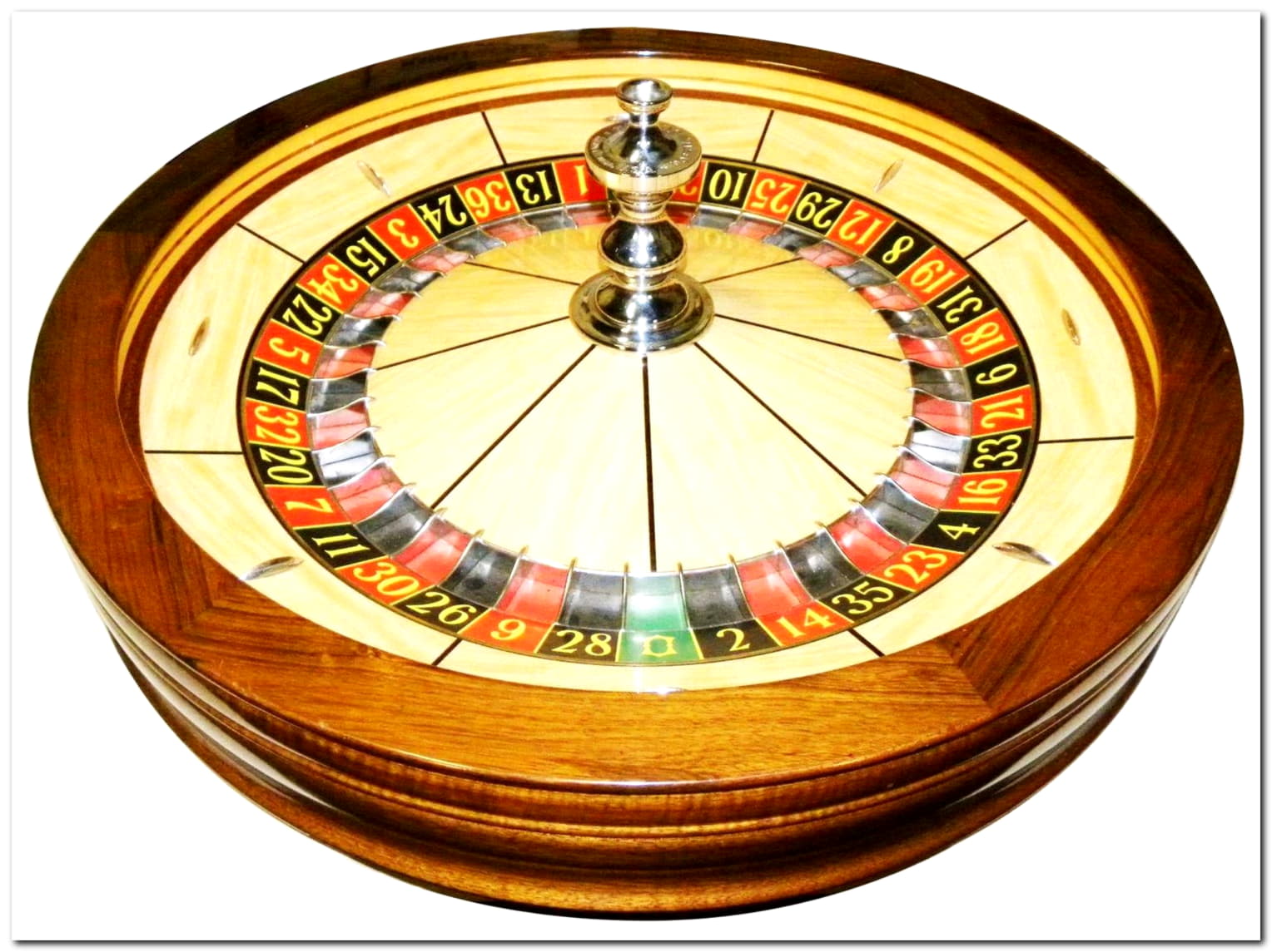 11 Free Spins right now at Leo Dubai Casino
