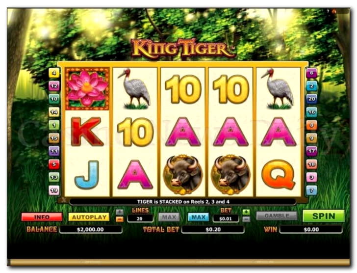 740% No Rules Bonus! at Inter Casino