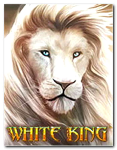195 free spins casino at Dunder Casino