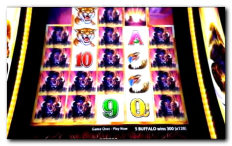 EUR 430 free chip casino at Casino Cruise