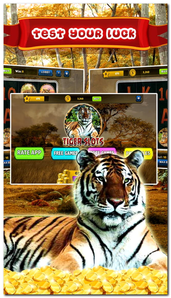 595% Match at a casino at Hippozino Casino