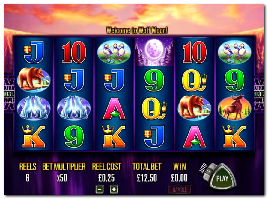 $810 Online Casino Tournament at Dunder Casino