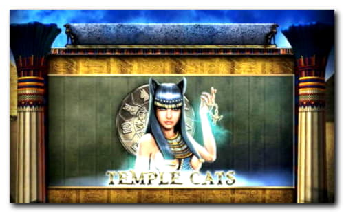 77 free spins casino at Leo Dubai Casino