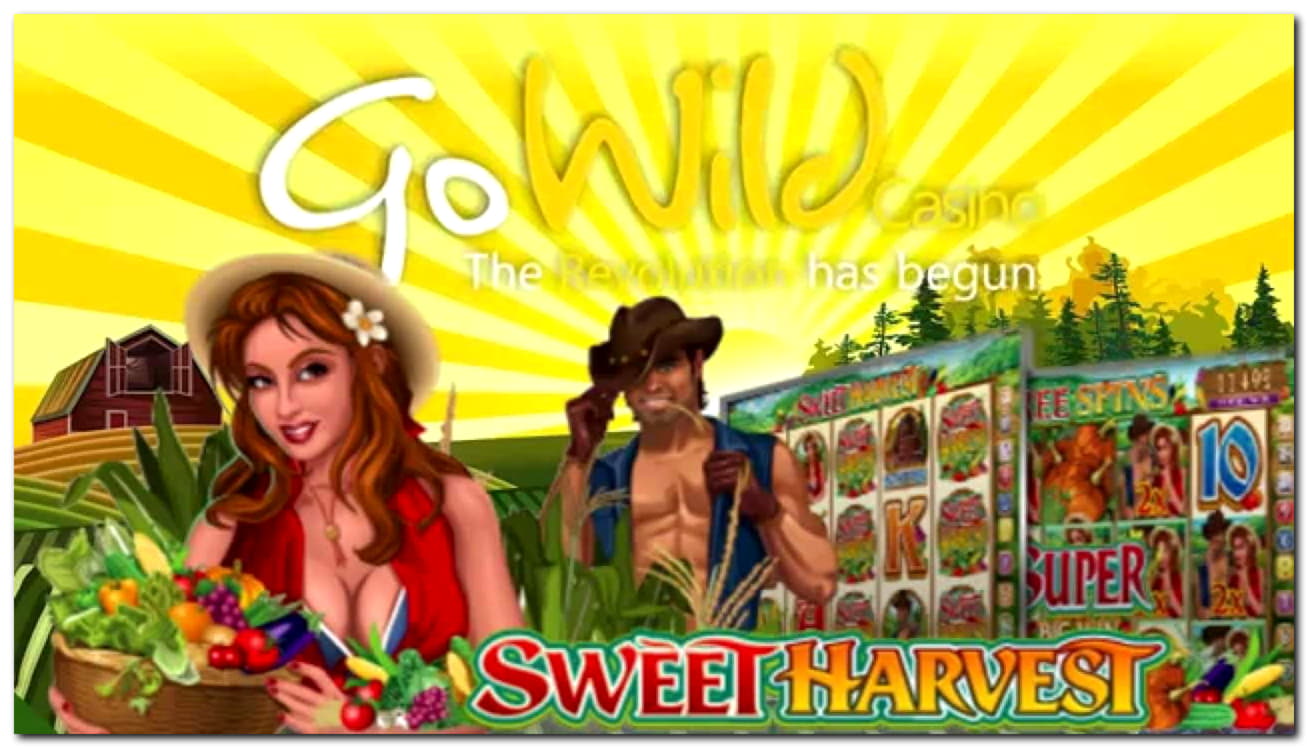 615% First deposit bonus at Bet At Home Casino