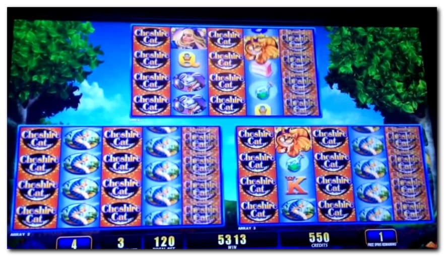 $1055 No deposit bonus casino at Casino Cruise