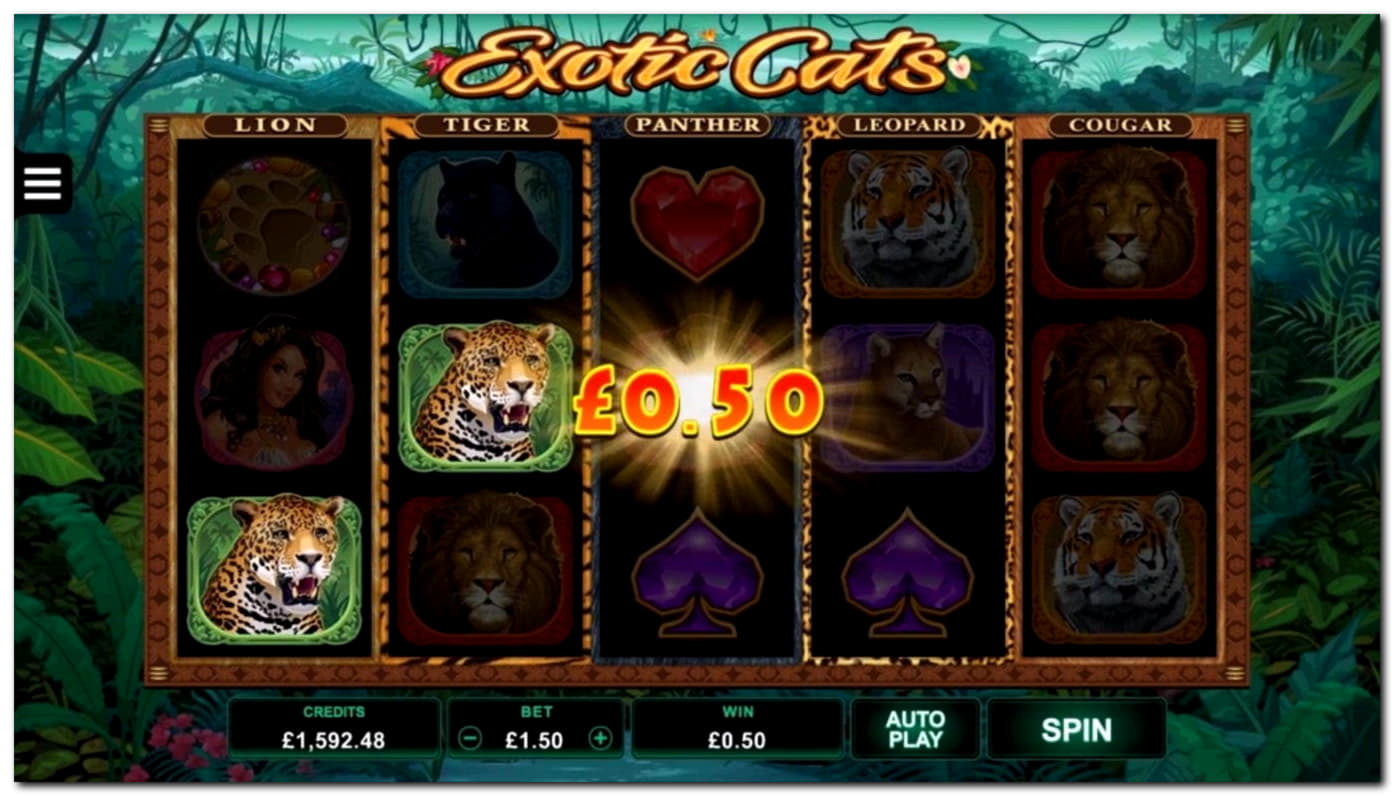 £430 free chip at Leo Dubai Casino