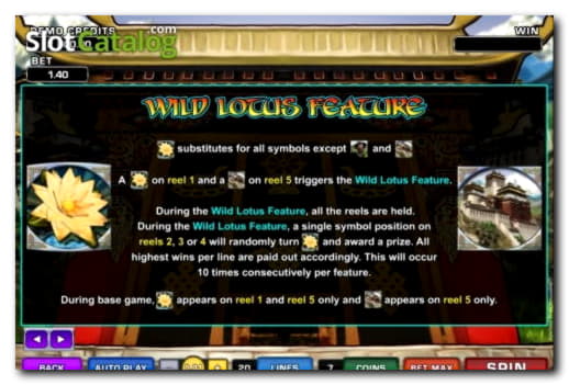 730% Match bonus at Dunder Casino